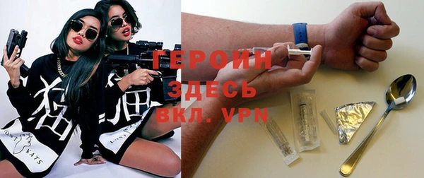 тгк Ельня