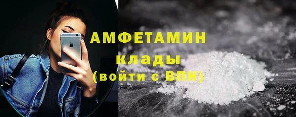 тгк Ельня