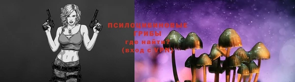 мескалин Заволжье