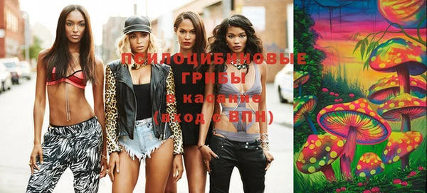 тгк Ельня
