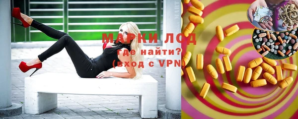 тгк Ельня
