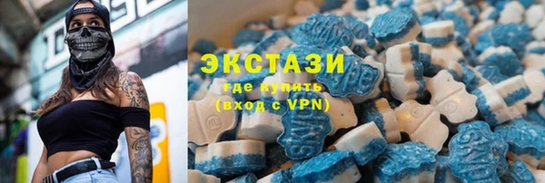 прущие грибы Заводоуковск